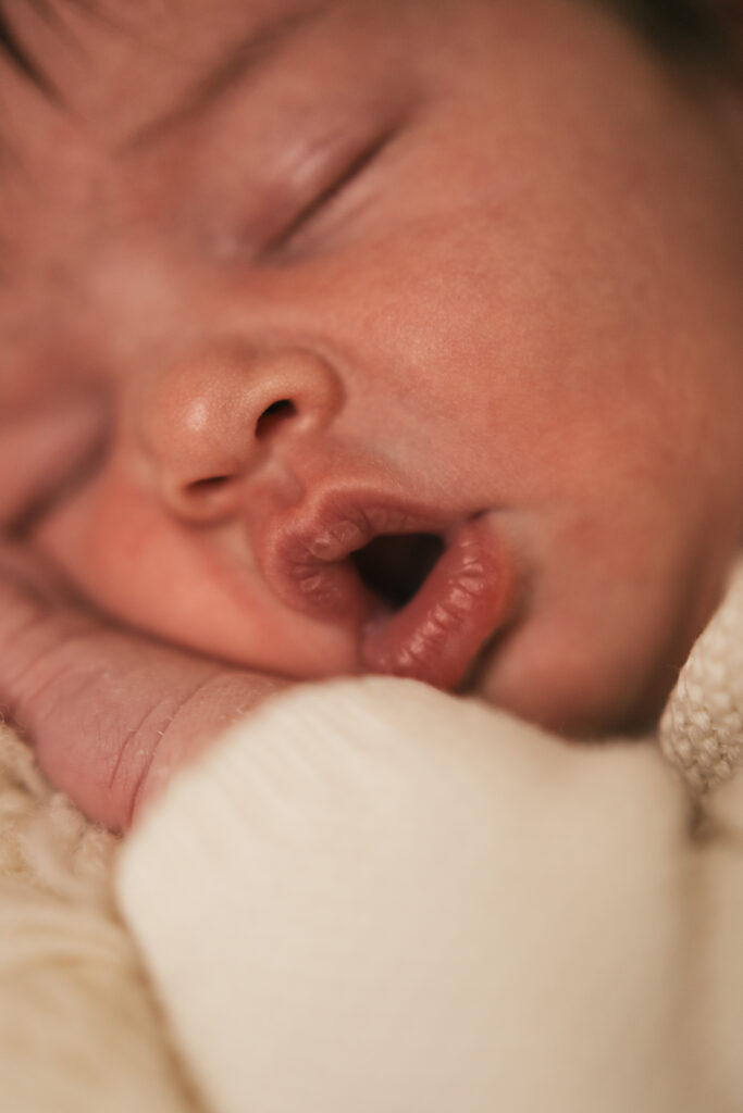 vittoria newborn25 6